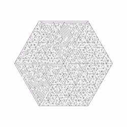 Maze #1556