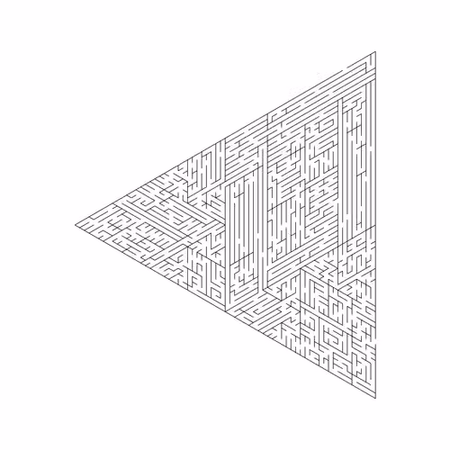 Maze #156