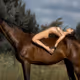 IN THE STABLE