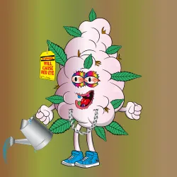Bud #595