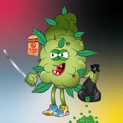 Bud #905