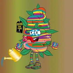 Bud #1532