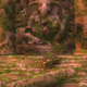 464