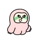 2955