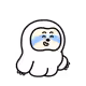 2411