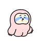 3051