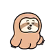 1491