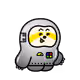 2554