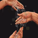 Waterverse