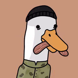 503