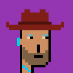 Cowboy Punks 305