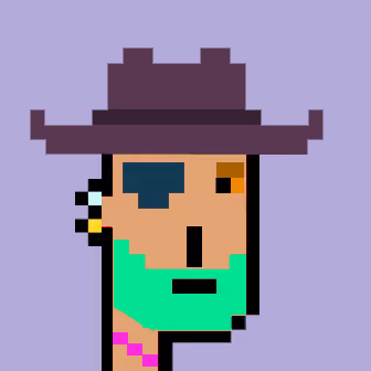 Cowboy Punks 330