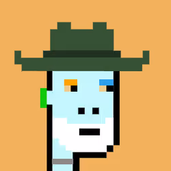 Cowboy Punks 316