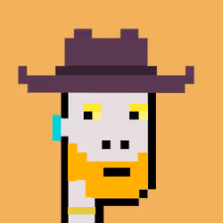 Cowboy Punks 219