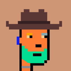 Cowboy Punks 9