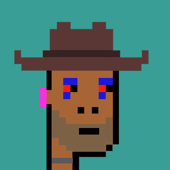 Cowboy Punks 290