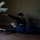 The Flying Bird