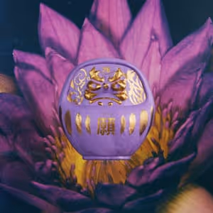 Pdn Daruma