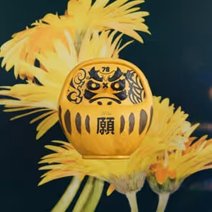 Pdn Daruma
