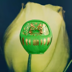 #1120-PDN_Green_002