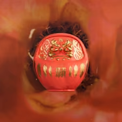 #78-PDN_Red_007