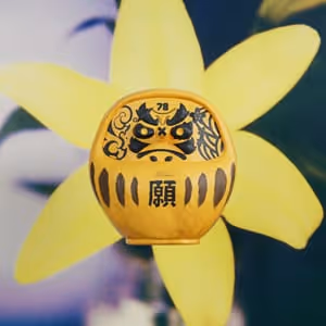 Pdn Daruma