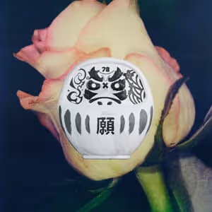 Pdn Daruma