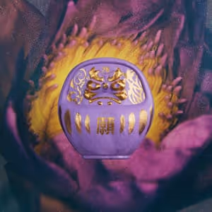 Pdn Daruma