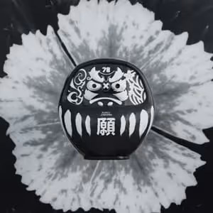 Pdn Daruma