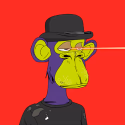 729