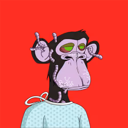 Deadhead Apes #2471