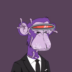 244