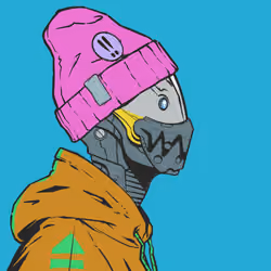 DR/VR #478
