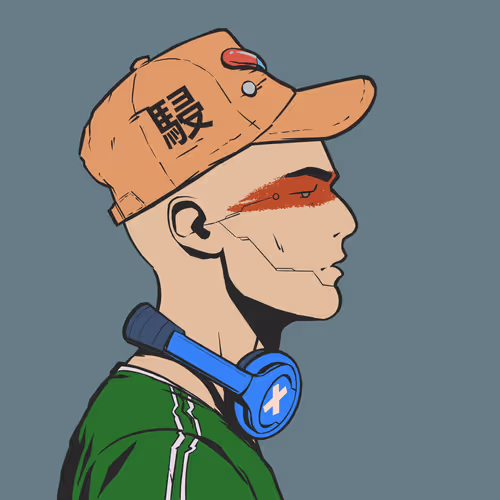 DR/VR #828
