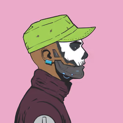 DR/VR #248