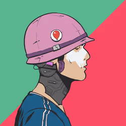 DR/VR #2229