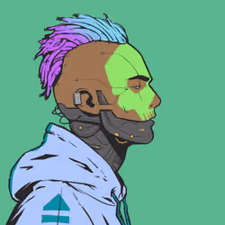 DR/VR #1587
