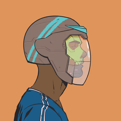 DR/VR #2838