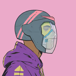 DR/VR #2721