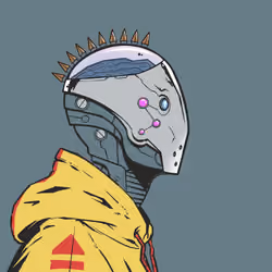 DR/VR #2167