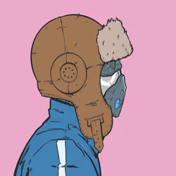 DR/VR #501