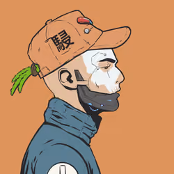 DR/VR #1768
