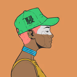 DR/VR #2046