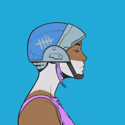 DR/VR #1847