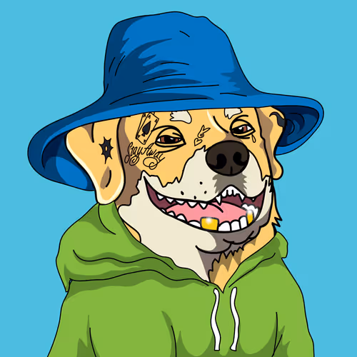 Realpokerdogsclub