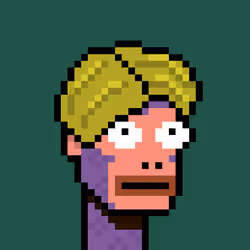 WONK #864
