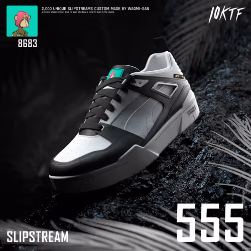 Item #555 Media