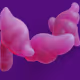 Purple Haze #2/5
