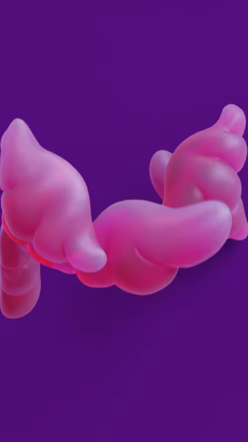 Item #32000050001 Media