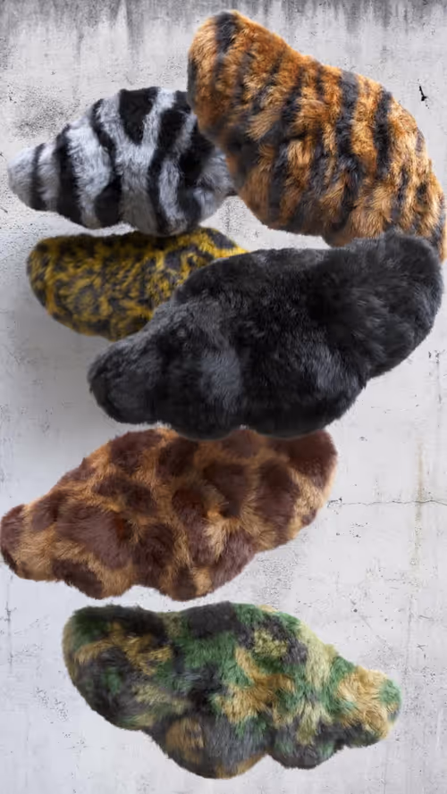 Item #32000010001 Media